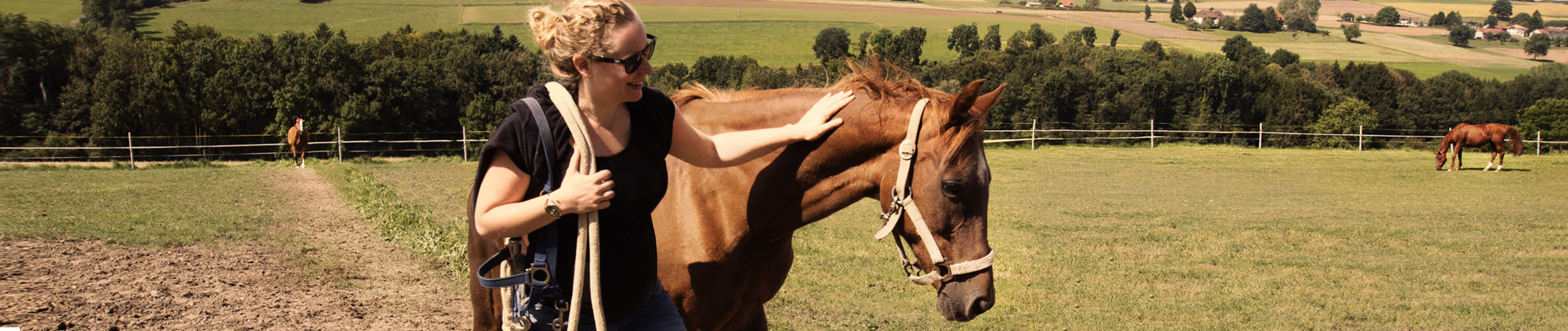Soins énergétiques chevaux, magnétisme, sbk hypnose, Saskia Bourakoff, Lausanne, Montreux, Suisse Romande,pathologies chevaux, douleurs chevaux, stress chevaux, cheval